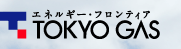 ���ͥ륮�����ե���ƥ���TOKYO GAS
