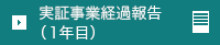 実証事業経過報告（1年目）