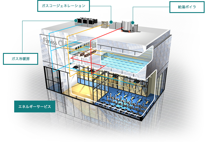 フィットネスのおすすめ機器&システム イメージ