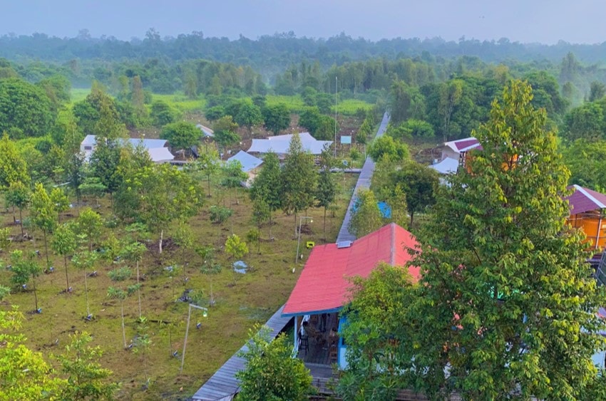 東京ガス社員が訪ねた カーボンクレジットを⽣み出す環境保全プロジェクトの現場